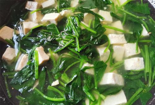 菠菜豆腐汤的7种变化「你试过几种」