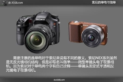 单电数码相机和单反的区别（单反和单电）