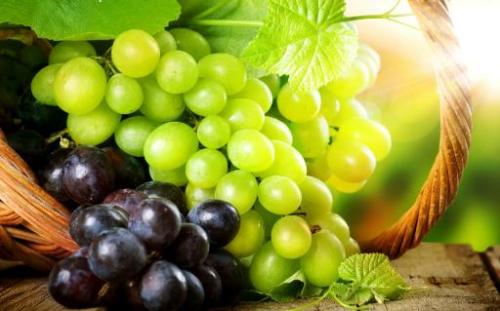 葡萄长时间保存有诀窍 葡萄的功效与营养价值大揭秘（葡萄长期保存方法）