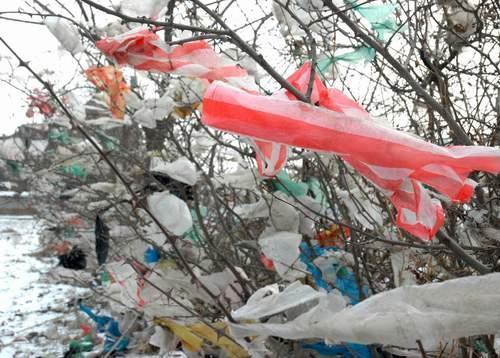 塑料袋对人类健康和环境有怎样的危害（塑料袋对人类健康和环境有怎样的危害