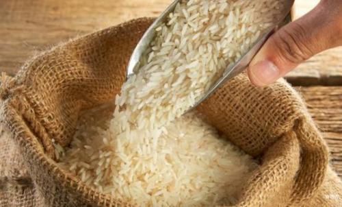 大米生了虫 预防大米生虫的措施（大米生了虫 预防大米生虫的措施有哪些）