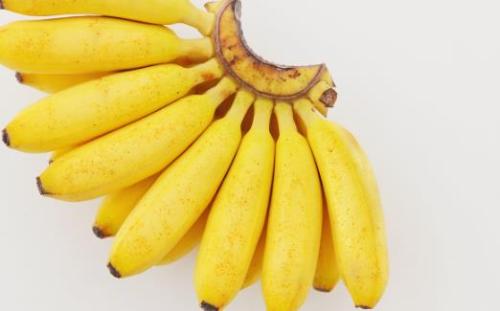 香蕉口感好且营养丰富功效多多 香蕉美味新吃法推荐（香蕉的多样吃法）