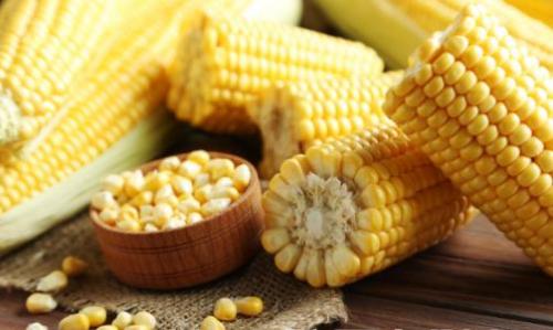 煮玉米加点它 营养美味还减肥