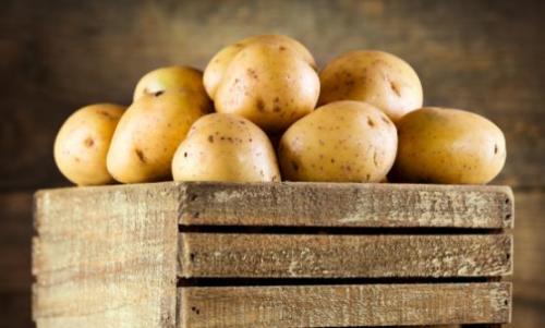 土豆怎么做才能更好吃 有关日常吃土豆的小禁忌（土豆怎么吃对身体最好）