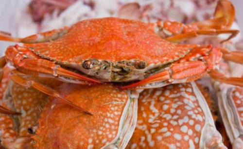 海蟹需要蒸多久才可以食用 蒸海蟹的方法推荐（海蟹需要蒸多长时间最好）