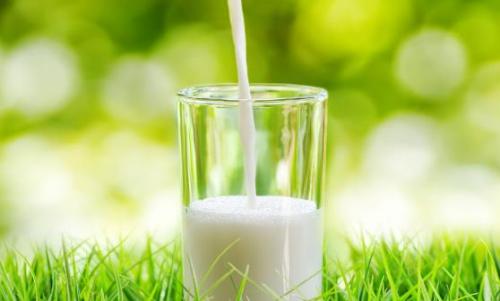 牛奶喝法不对会让健康大打折扣 应当因人而异适度适量（喝牛奶的错误方法有
