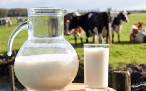 一喝牛奶就拉肚子是乳糖不耐受 喝牛奶的禁忌要记牢（喝牛奶就拉肚子是乳糖