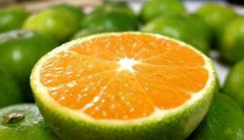 空腹能吃橘子吗 哪些食物不能空腹吃（空腹能吃橘子吗 哪些食物不能空腹吃的