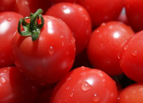 西红柿怎么做好吃？西红柿的做法大全（西红柿怎么做最好吃,又简单做）
