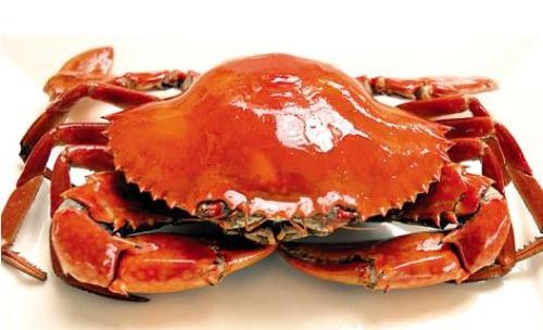 怎么吃螃蟹最营养？吃螃蟹的三个最佳搭档（螃蟹怎么吃营养最好）