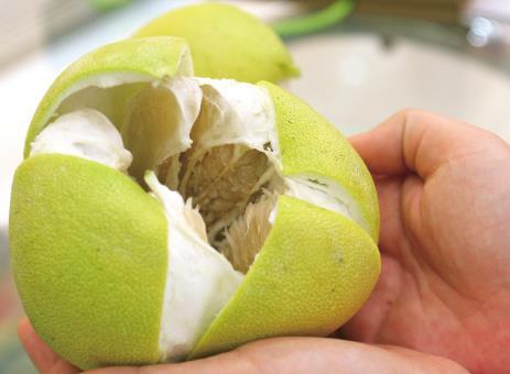 柚子皮怎么做？柚子皮的功效与作用（柚子皮怎么做?柚子皮的功效与作用是什