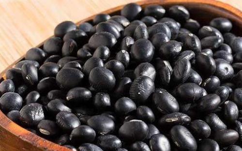黑豆是很好的肌肤美容之品 黑豆最营养搭配（黑豆两种都有什么功效）