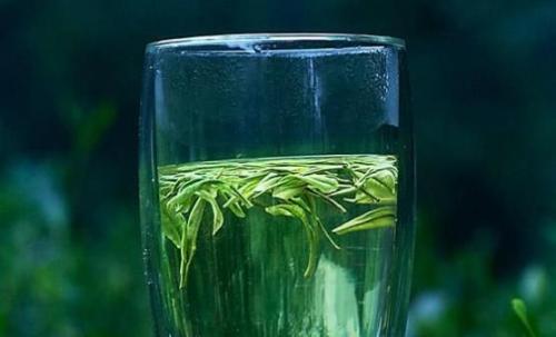 喝绿茶防辐射防癌 饮用过期茶叶危害健康（喝绿茶可以防辐射吗?）