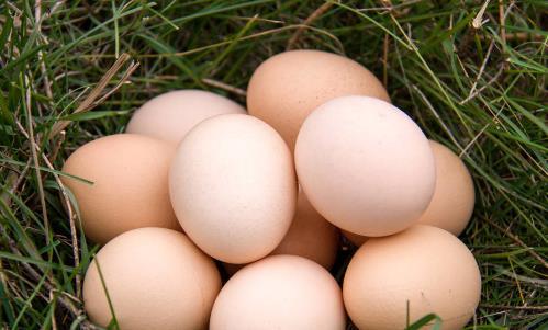 鸡蛋是个宝错吃很苦恼 不同的人群吃不同的量