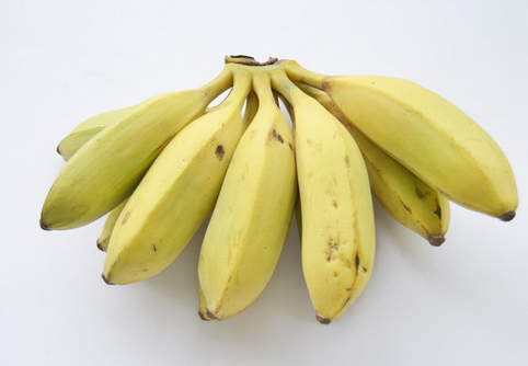 小米蕉的种植技术-小米蕉的功效与作用（小米蕉的种植与管理）