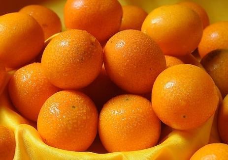 吃金橘有什么好处？金桔的功效与作用（吃金橘有什么好处?金桔的功效与作用
