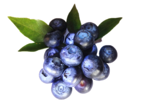 蓝莓的营养价值及功效-蓝莓怎么吃？（蓝莓的营养价值及功效有哪些?）