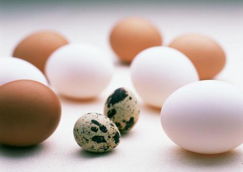 蛋的营养功效及适用人群（蛋的营养功效及适用人群有哪些）