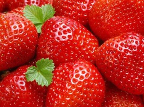 草莓的营养价值、功效与作用、食用禁忌（草莓的营养价值,功效与作用,食用禁