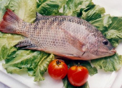 吃鱼肉的营养价值高：吃带鱼可保持皮肤湿润弹性（吃带鱼有没有营养）