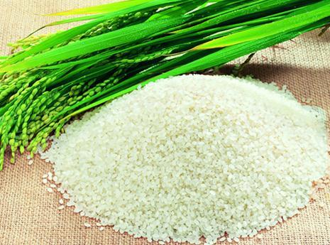 大米的营养价值-大米的功效与作用（大米的营养价值和功效与作用）