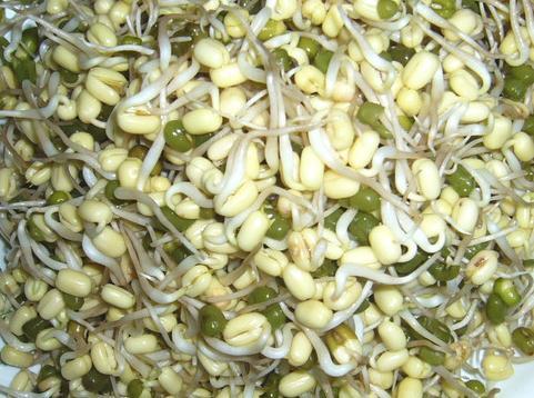 绿豆芽的营养价值-绿豆芽的功效与作用（绿豆芽的营养价值与食用功效）