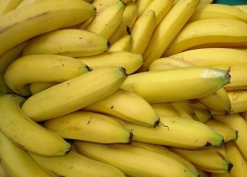 香蕉的营养价值、功效与作用、吃香蕉的好处（香蕉的营养价值,功效与作用,吃