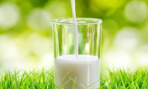 饮用牛奶当中的十中误区 方法不对牛奶也会变得没营养（牛奶饮用小常识）