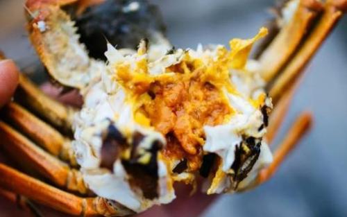 吃螃蟹时候要注意的“六不” 螃蟹不能吃的部位（吃螃蟹不能吃哪个部位）