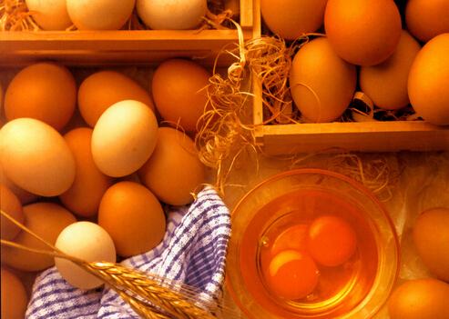 鸡蛋吃太多会出现“蛋白质中毒综合征”（鸡蛋吃太多会蛋白质中毒吗）