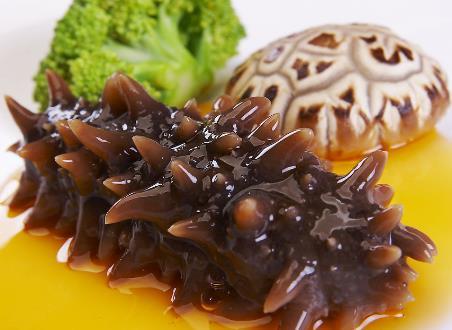 海参不能和什么一起吃？海参的5大食用禁忌（海参不能和什么一起吃?海参的