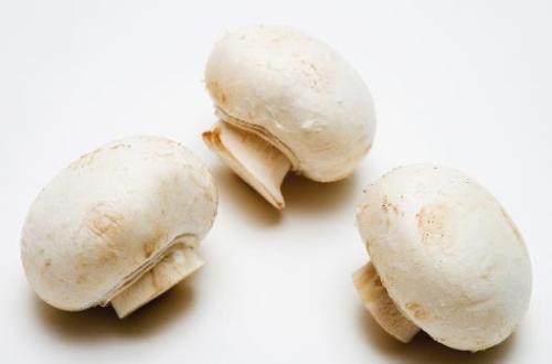 4种常见蘑菇的营养价值 适用于孕妇补充营养（4种常见蘑菇的营养价值 适用于
