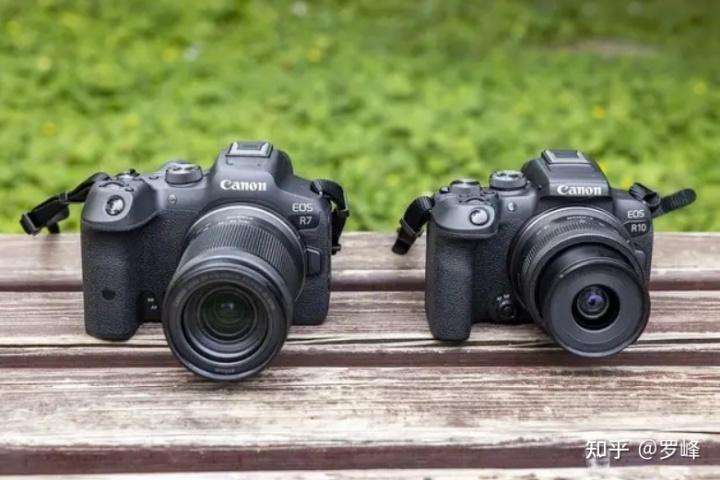 什么叫单反相机和微单相机的区别（什么叫单反相机,单反相机销量排名）